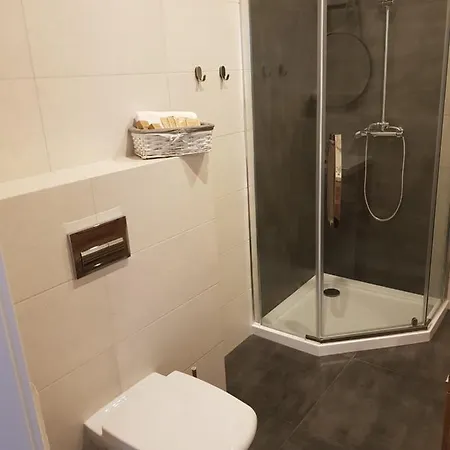 Dojazdowa Apartman Apartman *